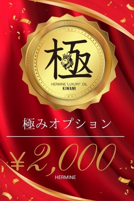 【極】オプションの容姿や雰囲気を確認できる画像